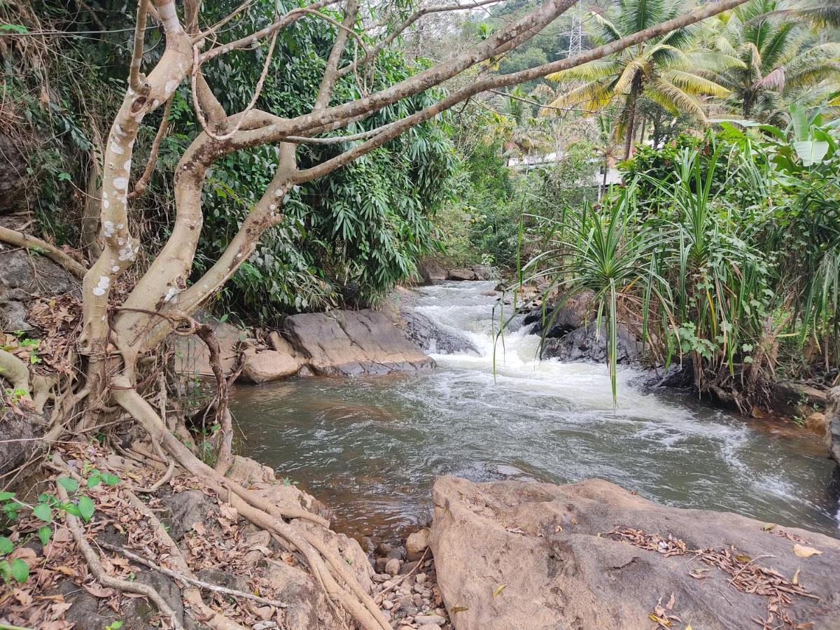 Riverbench Homestay Munnar, Anaviratty Exterior foto