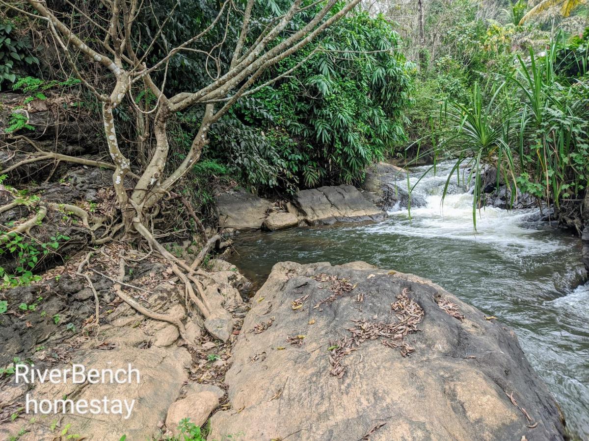 Riverbench Homestay Munnar, Anaviratty Exterior foto