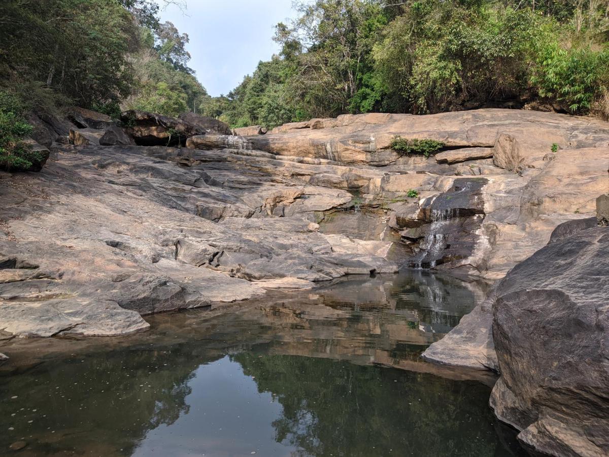 Riverbench Homestay Munnar, Anaviratty Exterior foto