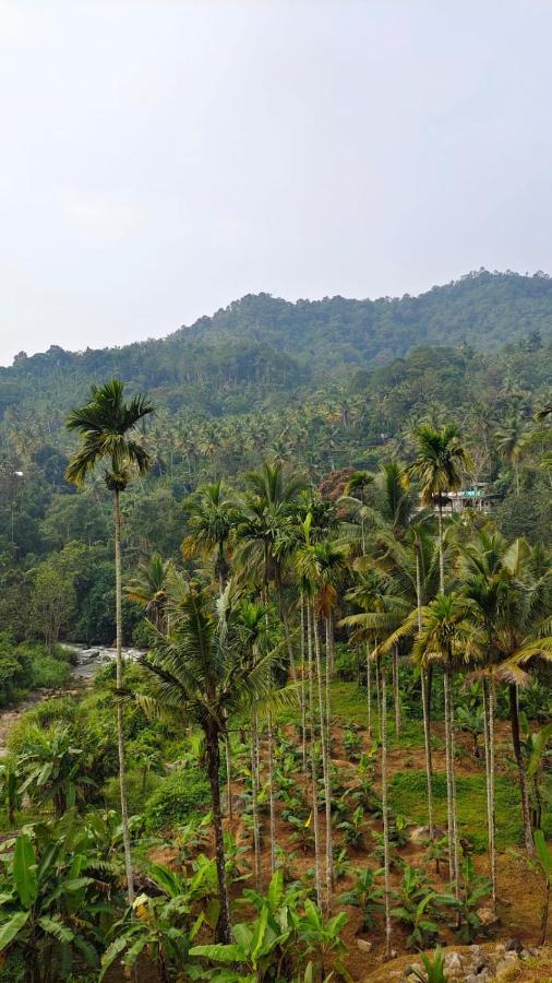 Riverbench Homestay Munnar, Anaviratty Exterior foto